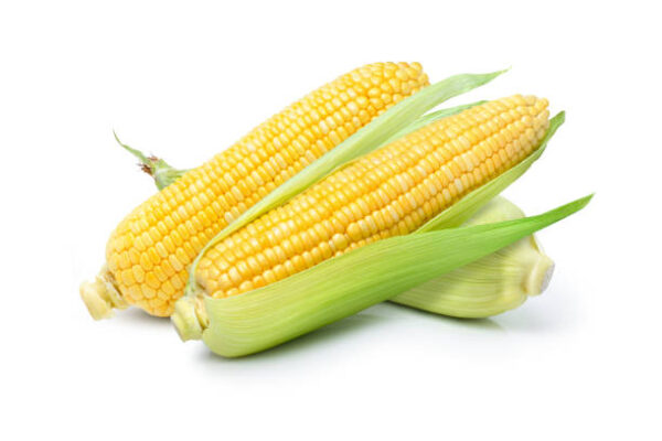 American corn